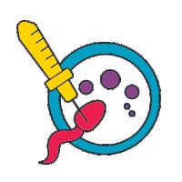 What is IVF (IN VITRO FERTILIZATION)?