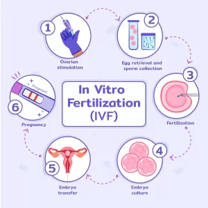 Things To Know Before IVF Treatment